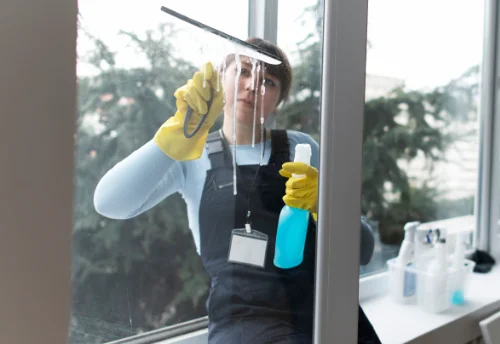 Nettoyage de vitres intérieures et extérieures à Prahecq